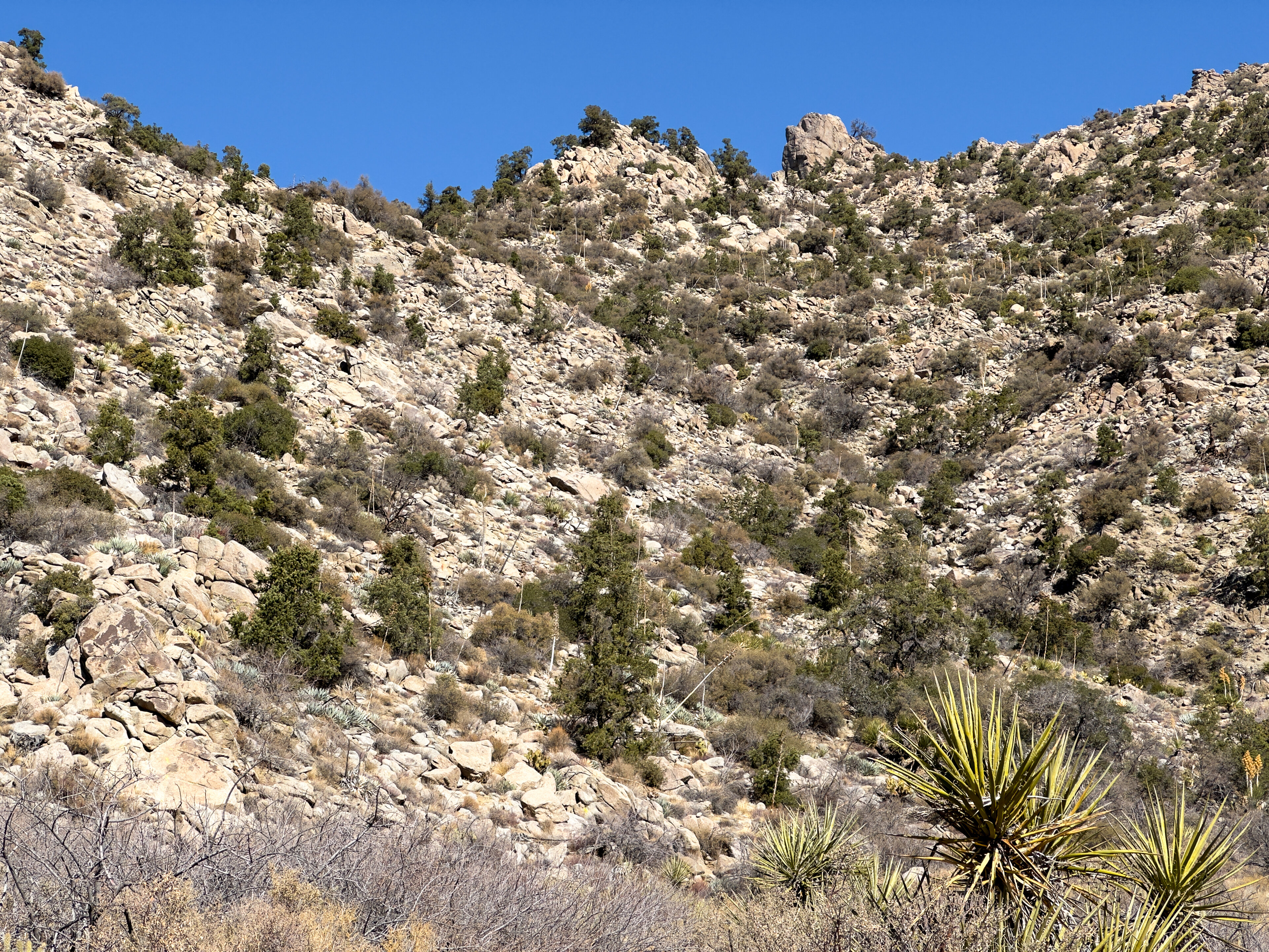 Natural asbestos mountain in California, Riverside County