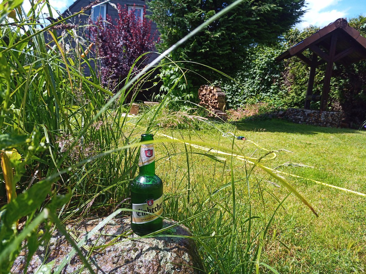 Meme about elections and freedom